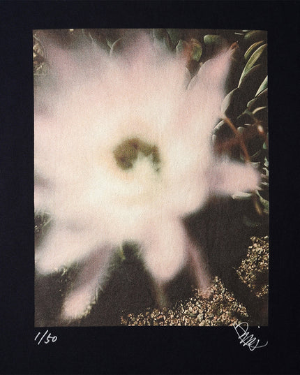 限定25着 越谷喜隆 受注生産Tシャツ Cactus Flower