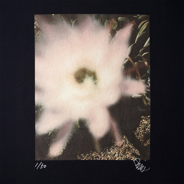 限定25着 越谷喜隆 受注生産Tシャツ Cactus Flower