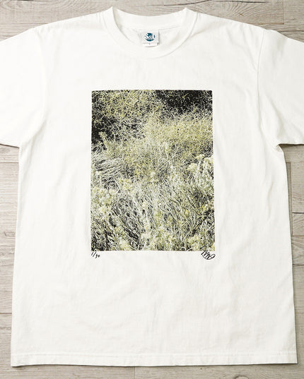 限定25着 越谷喜隆 受注生産Tシャツ Patagonia Grasses