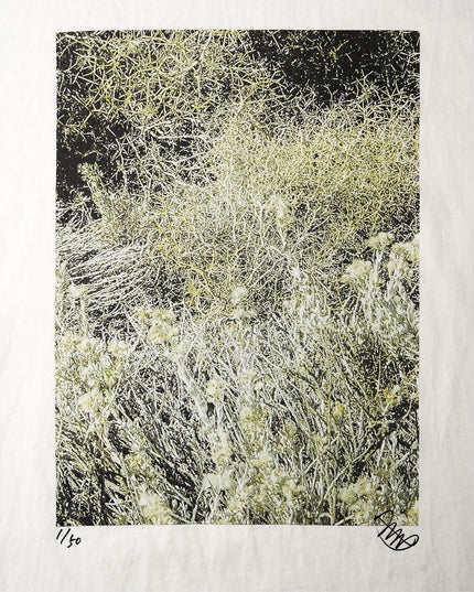 限定25着 越谷喜隆 受注生産Tシャツ Patagonia Grasses