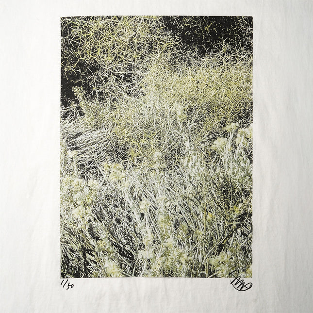 限定25着 越谷喜隆 受注生産Tシャツ Patagonia Grasses