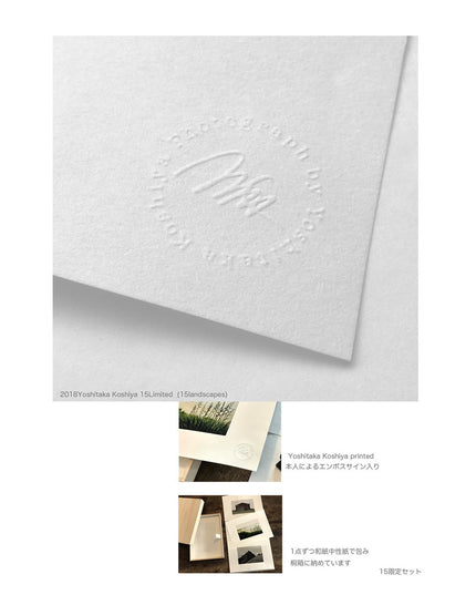 限定15箱 越谷喜隆 オリジナル桐箱入り限定プリント15枚セレクトBOX