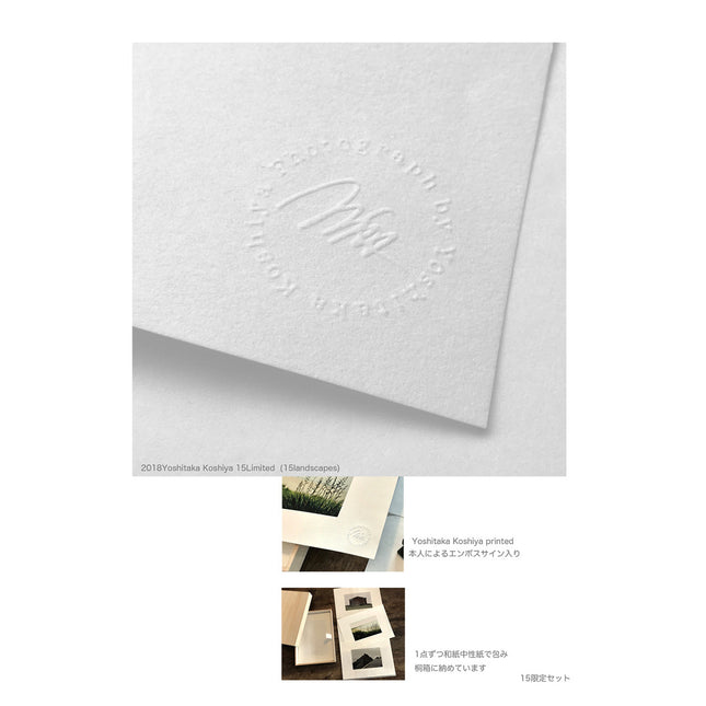 限定15箱 越谷喜隆 オリジナル桐箱入り限定プリント15枚セレクトBOX