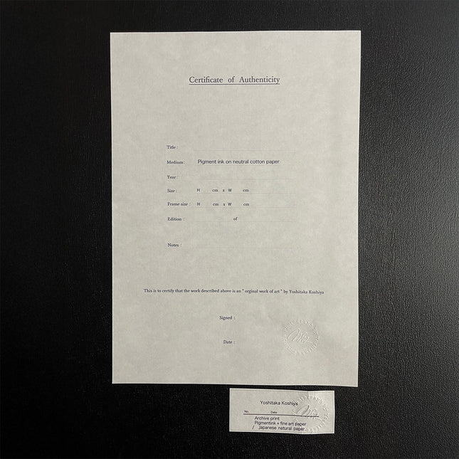 限定15点 越谷喜隆 受注生産額縁付オリジナルプリント A Journey to Discover the Charms of Nature