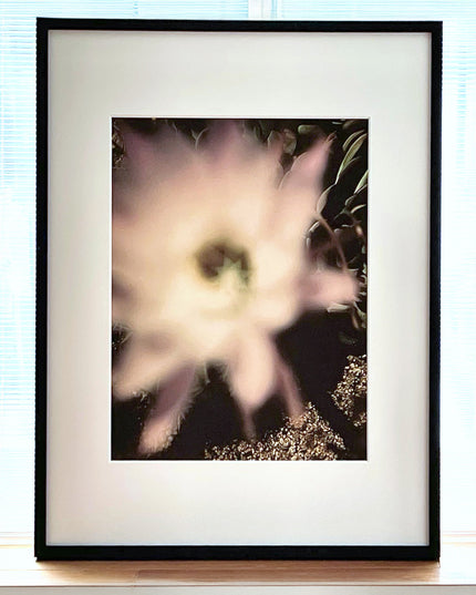 限定15点 越谷喜隆 受注生産額縁付オリジナルプリント Cactus Flower