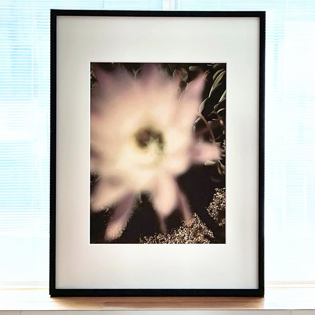 限定15点 越谷喜隆 受注生産額縁付オリジナルプリント Cactus Flower