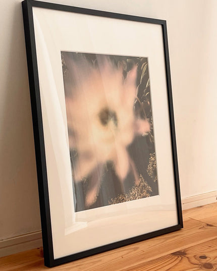 限定15点 越谷喜隆 受注生産額縁付オリジナルプリント Cactus Flower