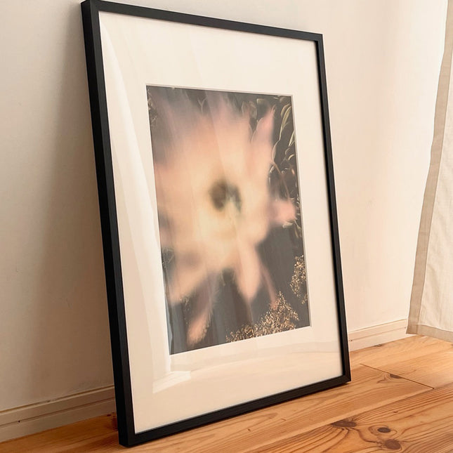 限定15点 越谷喜隆 受注生産額縁付オリジナルプリント Cactus Flower