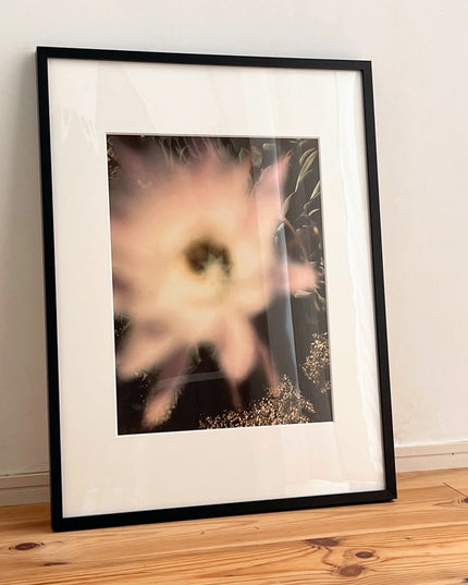 限定15点 越谷喜隆 受注生産額縁付オリジナルプリント Cactus Flower