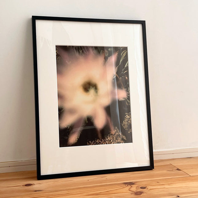 限定15点 越谷喜隆 受注生産額縁付オリジナルプリント Cactus Flower