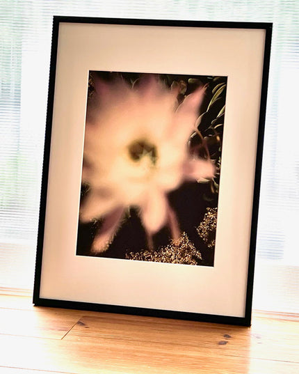 限定15点 越谷喜隆 受注生産額縁付オリジナルプリント Cactus Flower