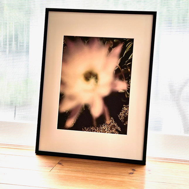 限定15点 越谷喜隆 受注生産額縁付オリジナルプリント Cactus Flower