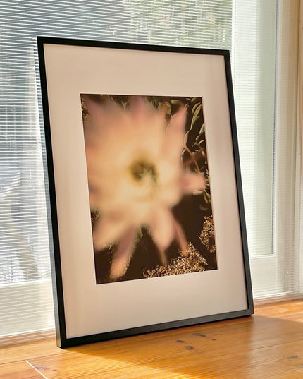 限定15点 越谷喜隆 受注生産額縁付オリジナルプリント Cactus Flower