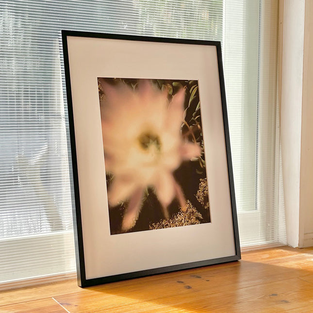 限定15点 越谷喜隆 受注生産額縁付オリジナルプリント Cactus Flower