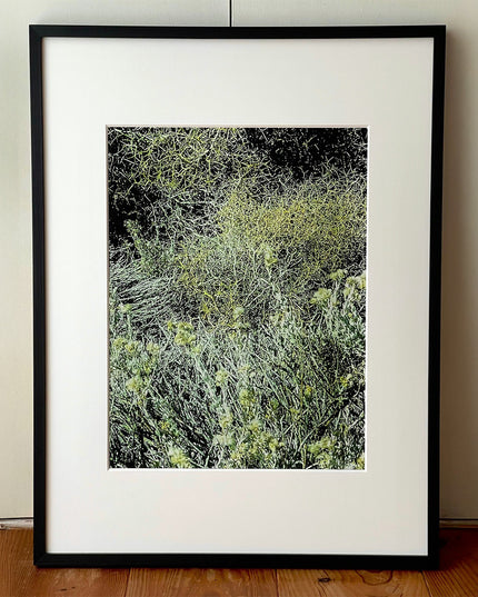 限定15点 越谷喜隆 受注生産額縁付オリジナルプリント Patagonia Grasses