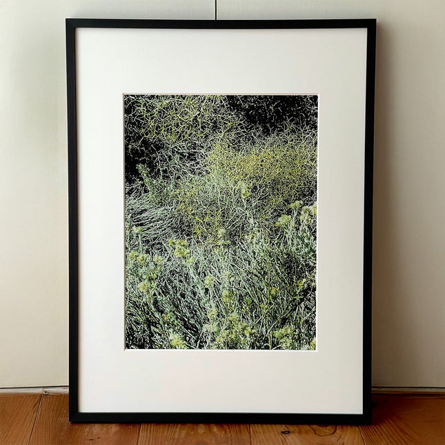限定15点 越谷喜隆 受注生産額縁付オリジナルプリント Patagonia Grasses