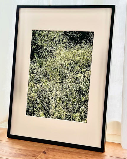 限定15点 越谷喜隆 受注生産額縁付オリジナルプリント Patagonia Grasses