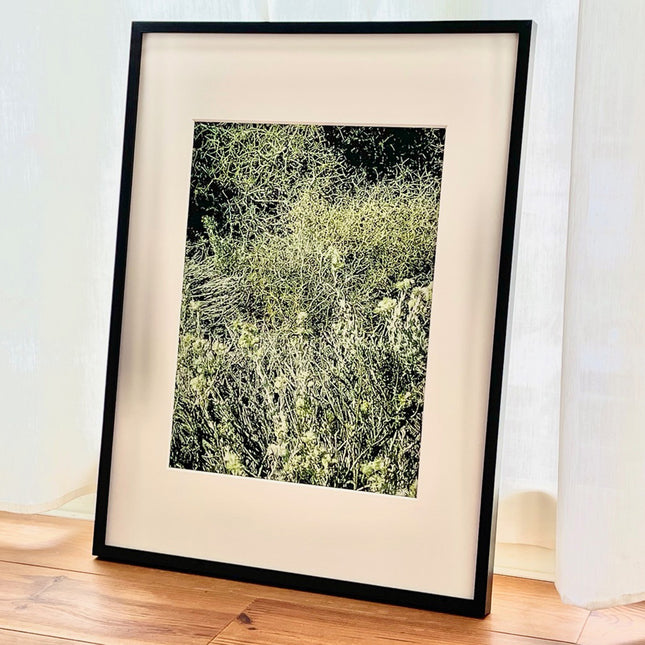 限定15点 越谷喜隆 受注生産額縁付オリジナルプリント Patagonia Grasses