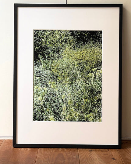 限定15点 越谷喜隆 受注生産額縁付オリジナルプリント Patagonia Grasses
