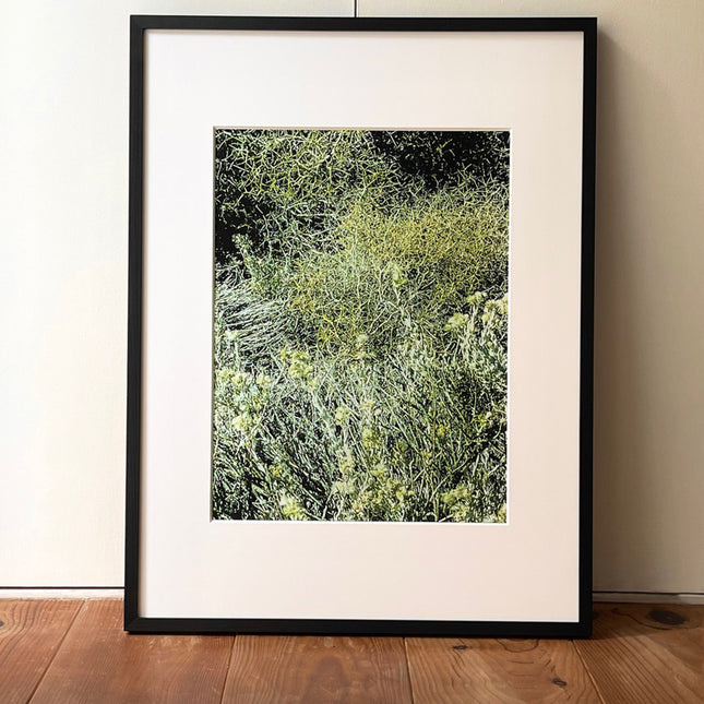 限定15点 越谷喜隆 受注生産額縁付オリジナルプリント Patagonia Grasses