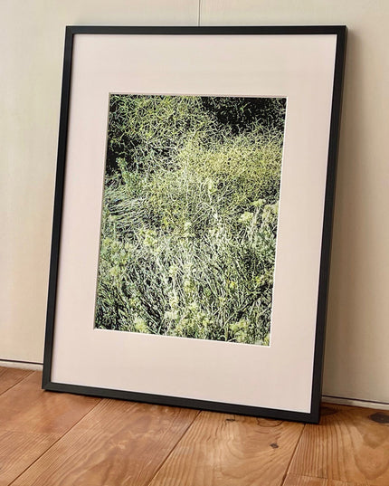 限定15点 越谷喜隆 受注生産額縁付オリジナルプリント Patagonia Grasses