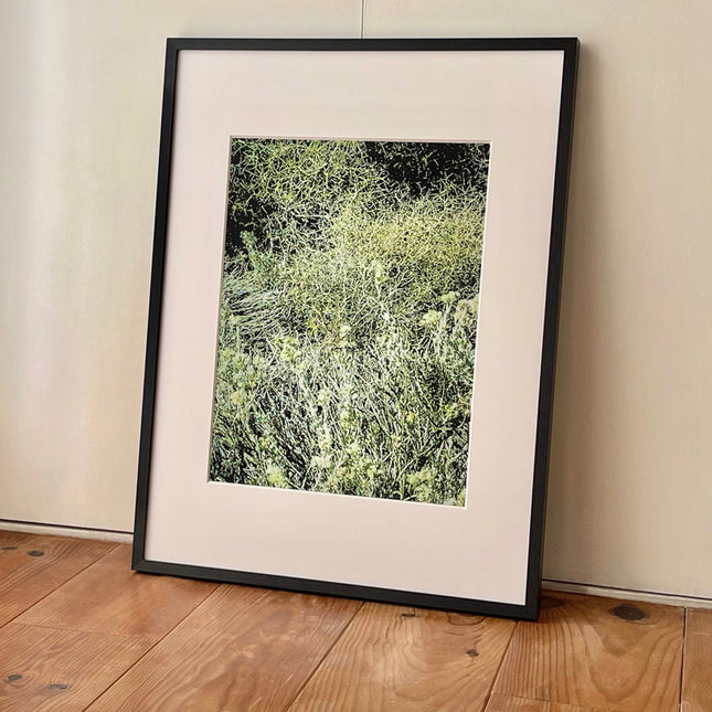 限定15点 越谷喜隆 受注生産額縁付オリジナルプリント Patagonia Grasses