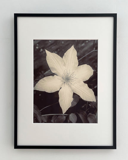 限定15点 越谷喜隆 受注生産額縁付オリジナルプリント Flower