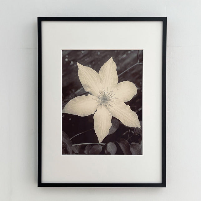 限定15点 越谷喜隆 受注生産額縁付オリジナルプリント Flower