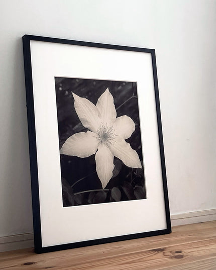 限定15点 越谷喜隆 受注生産額縁付オリジナルプリント Flower