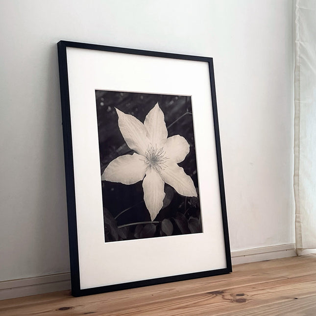 限定15点 越谷喜隆 受注生産額縁付オリジナルプリント Flower