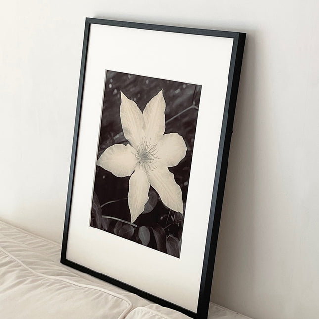 限定15点 越谷喜隆 受注生産額縁付オリジナルプリント Flower