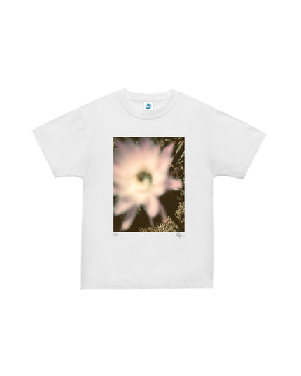 限定25着 越谷喜隆 受注生産Tシャツ Cactus Flower