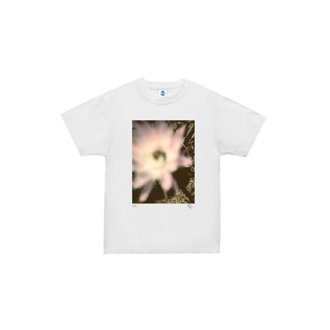 限定25着 越谷喜隆 受注生産Tシャツ Cactus Flower