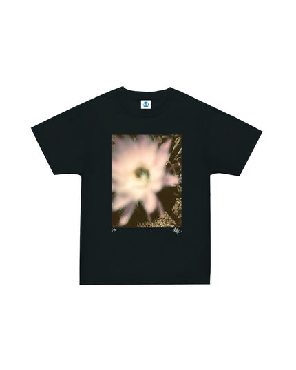 限定25着 越谷喜隆 受注生産Tシャツ Cactus Flower