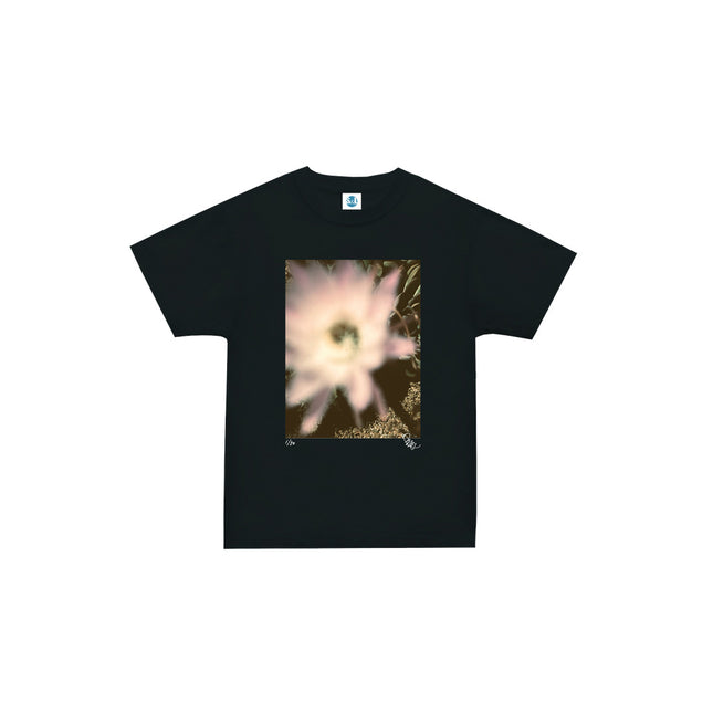 限定25着 越谷喜隆 受注生産Tシャツ Cactus Flower