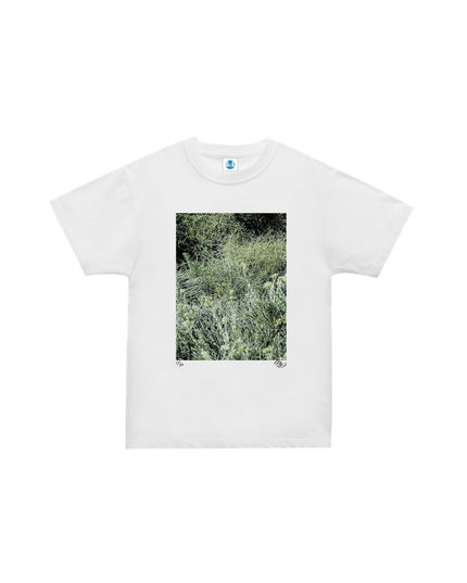 限定25着 越谷喜隆 受注生産Tシャツ Patagonia Grasses