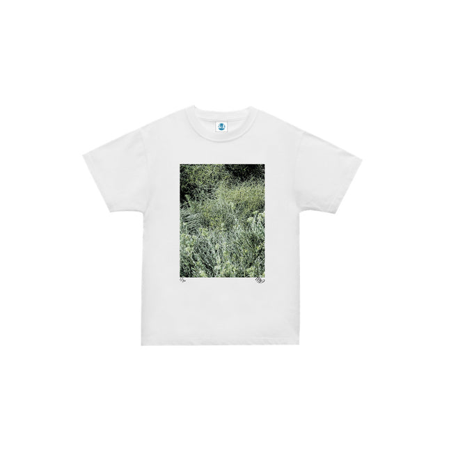 限定25着 越谷喜隆 受注生産Tシャツ Patagonia Grasses