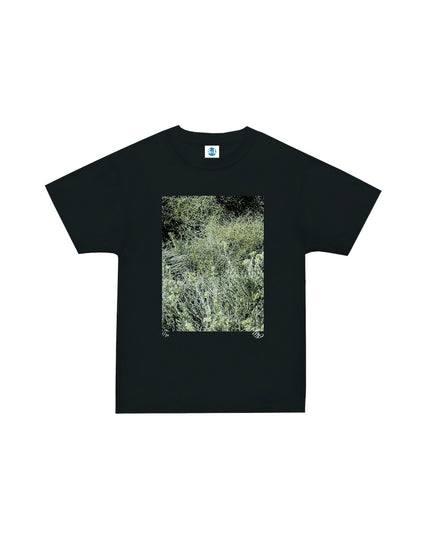 限定25着 越谷喜隆 受注生産Tシャツ Patagonia Grasses