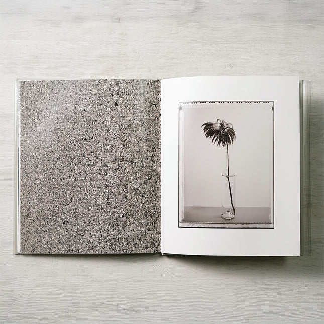 限定300冊 篠原邦博 写真集 Porolaids 直筆サイン＆エディションNo.付